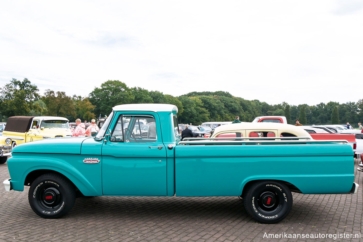 Ford F-Series uit 1965