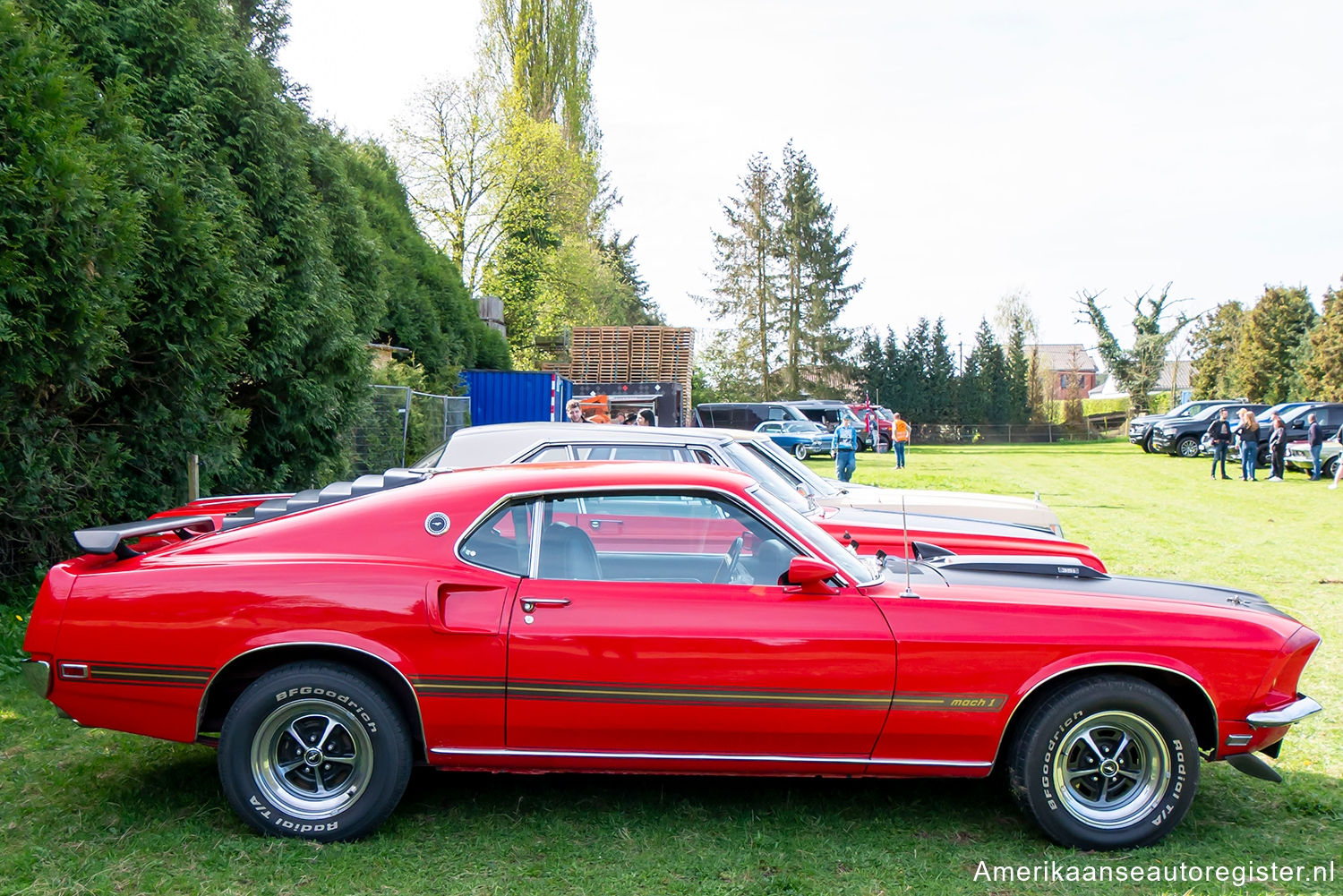 Ford Mustang uit 1969