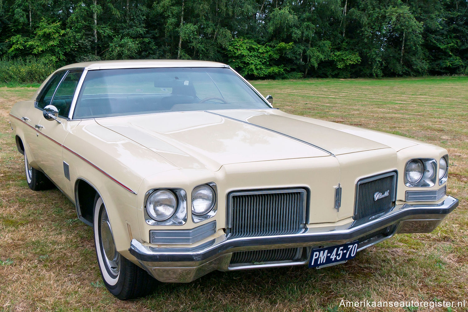 Oldsmobile 88 uit 1972