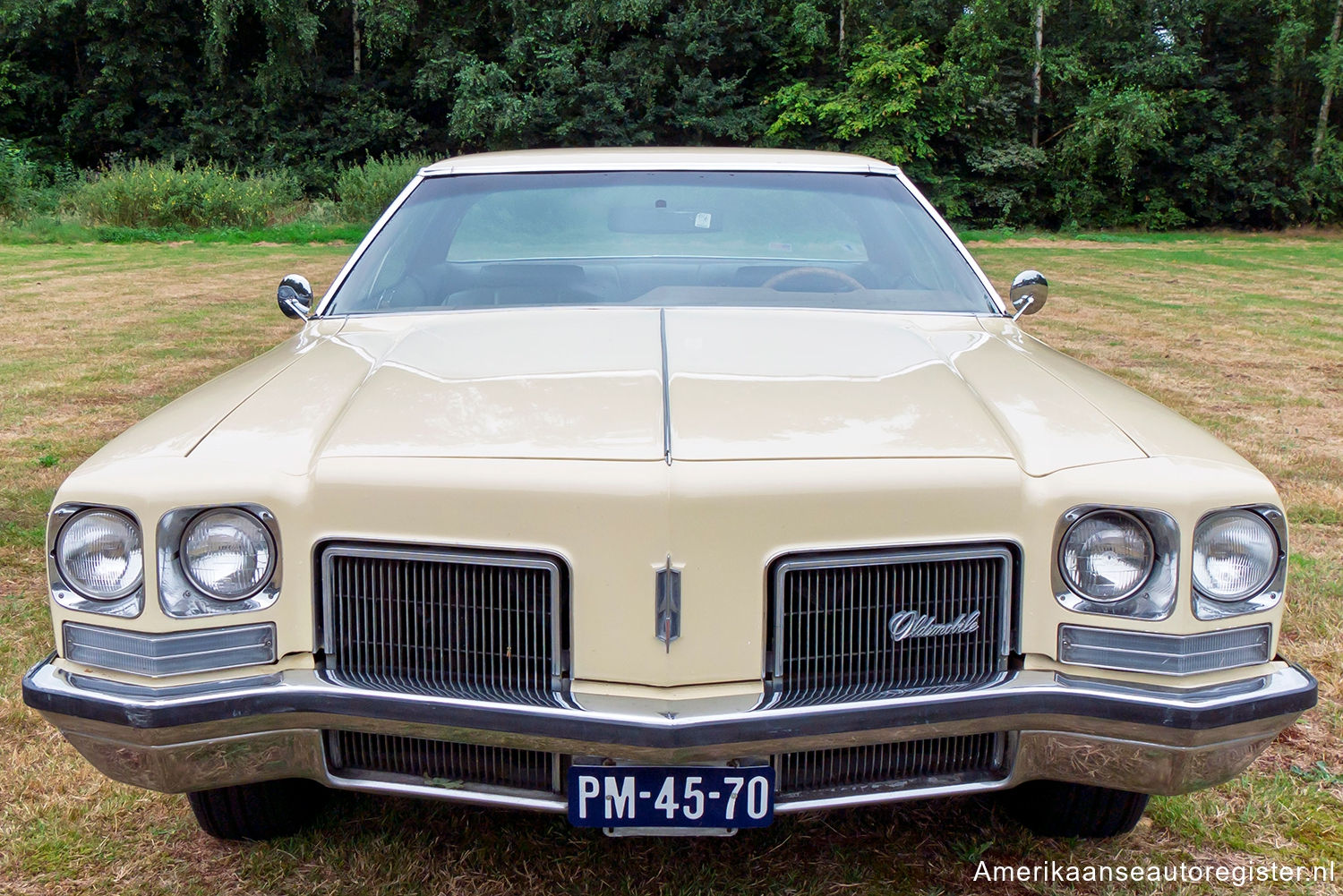 Oldsmobile 88 uit 1972