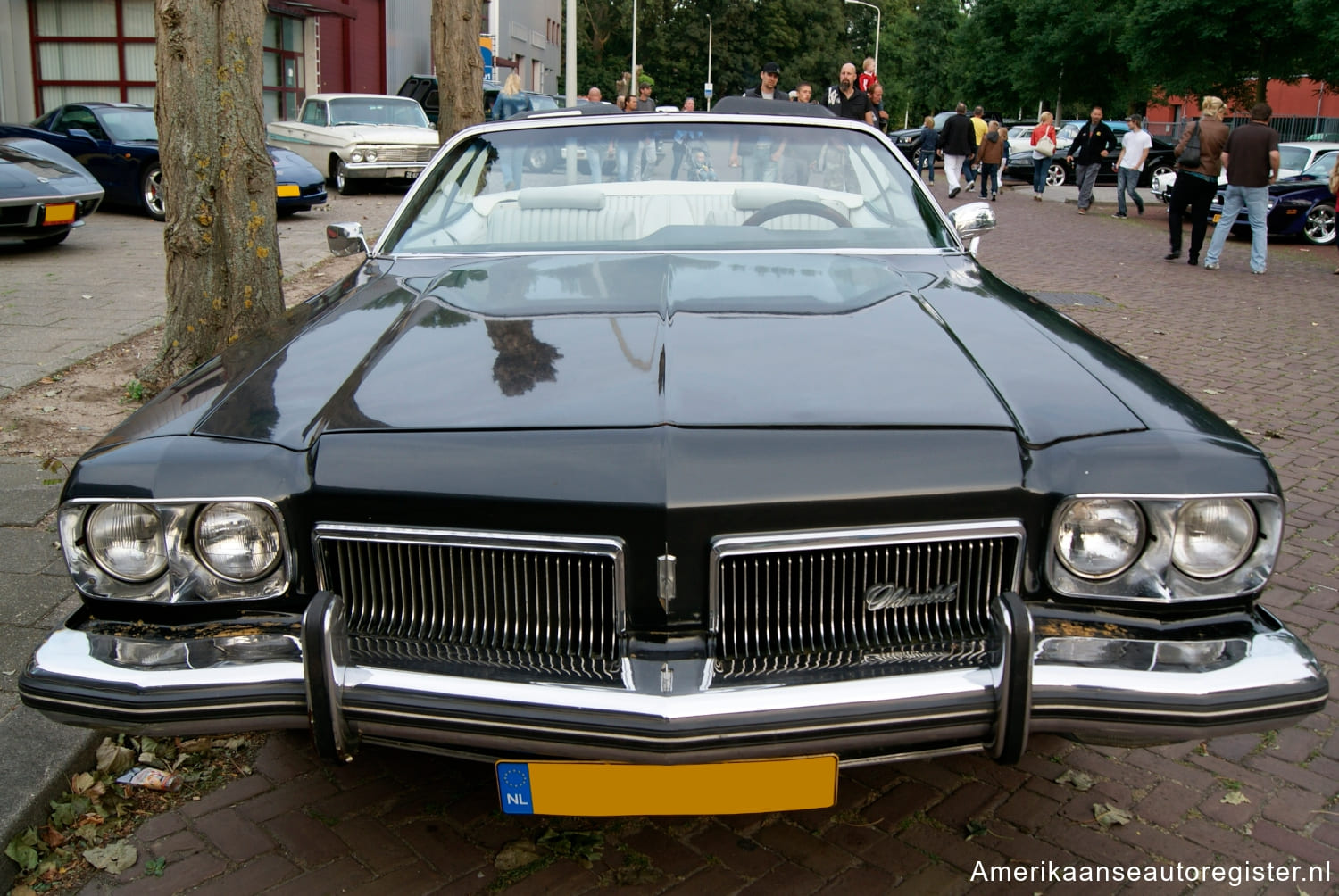 Oldsmobile 88 uit 1973
