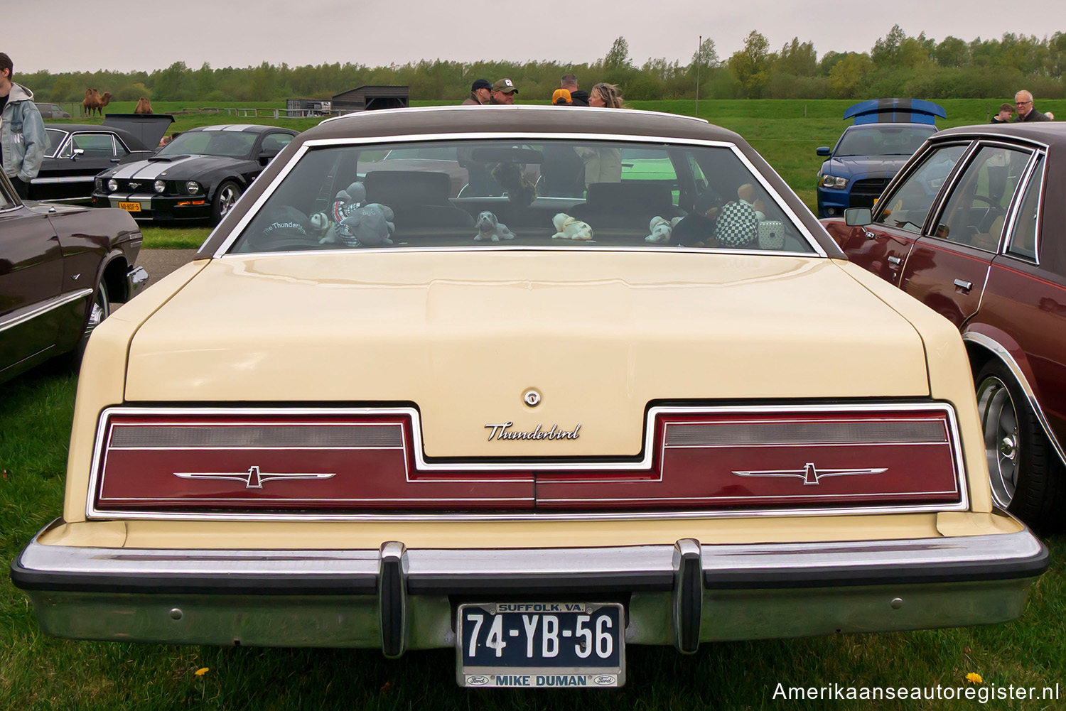 Ford Thunderbird uit 1977