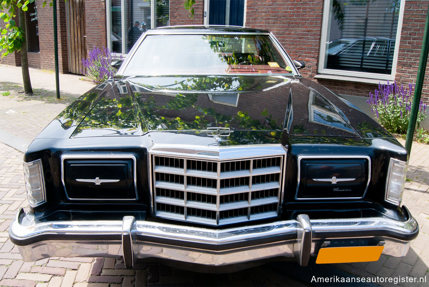 Ford Thunderbird uit 1979
