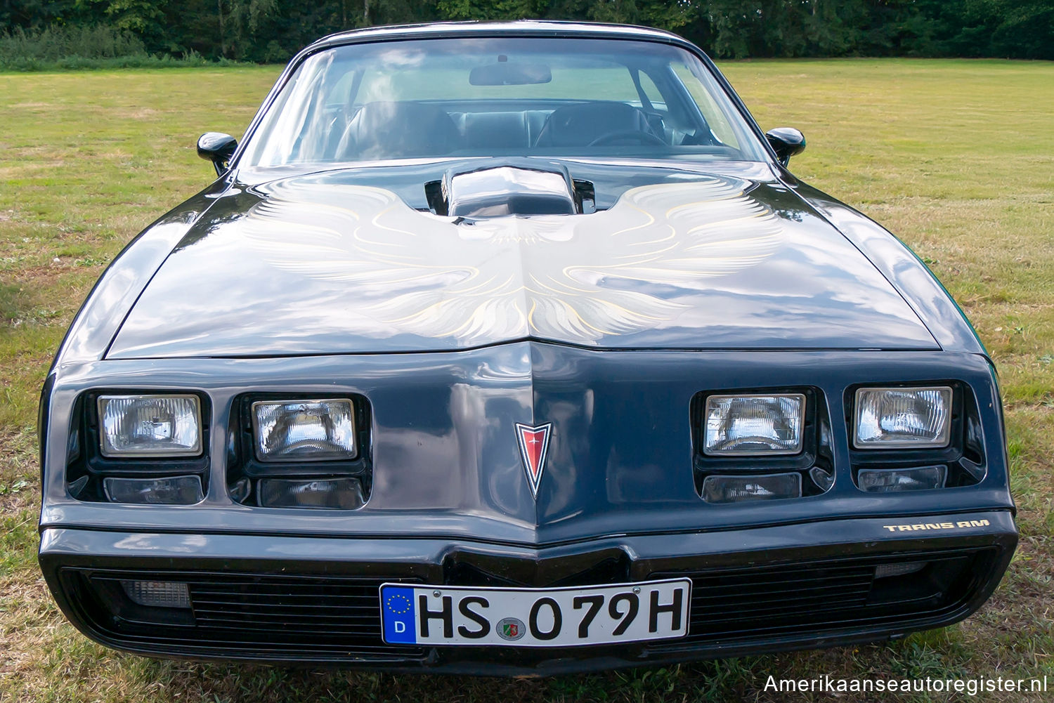 Pontiac Firebird uit 1979