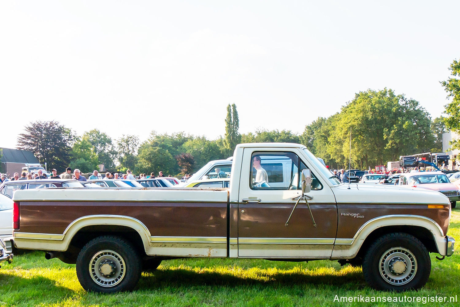 Ford F-Series uit 1980