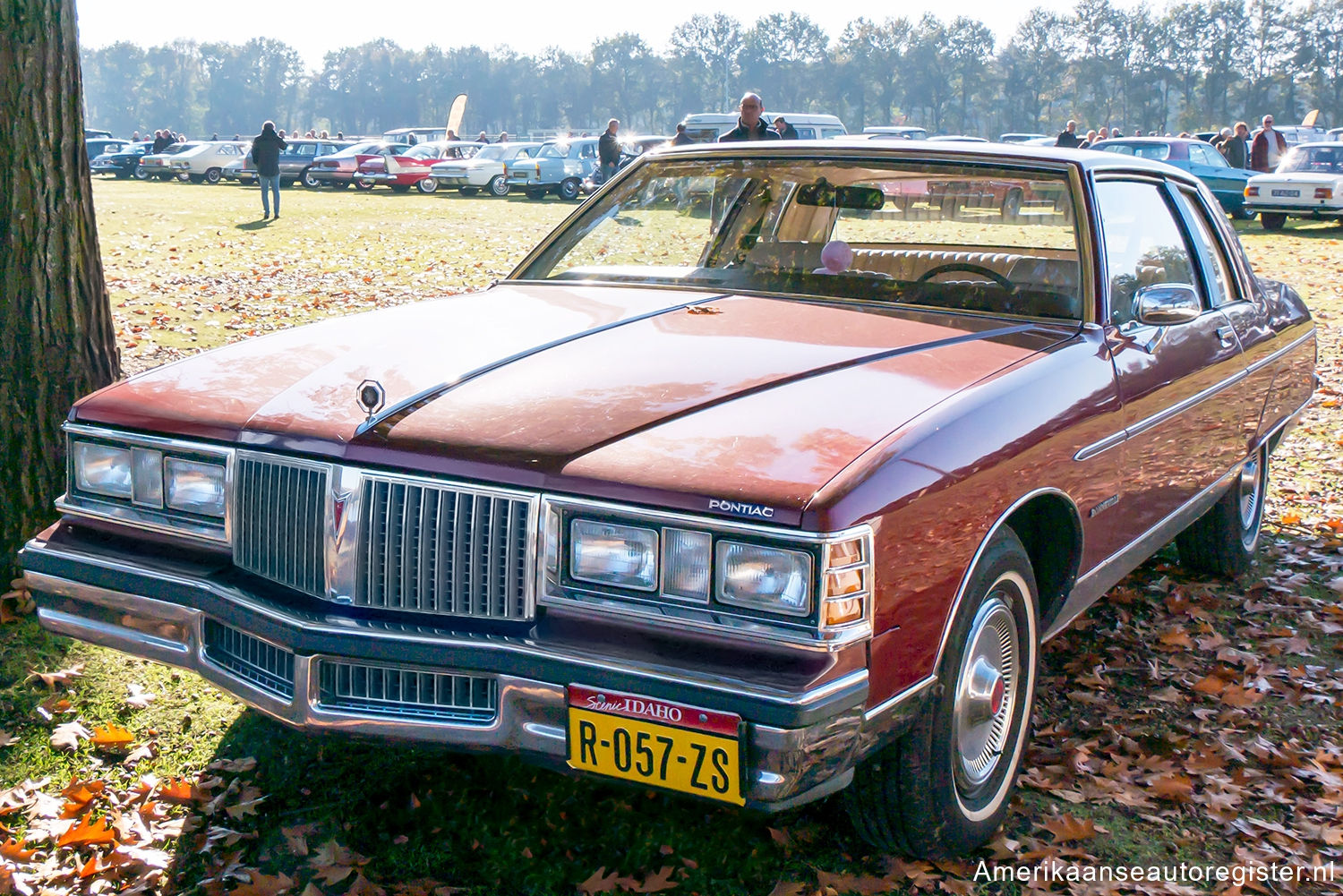 Pontiac Bonneville uit 1981