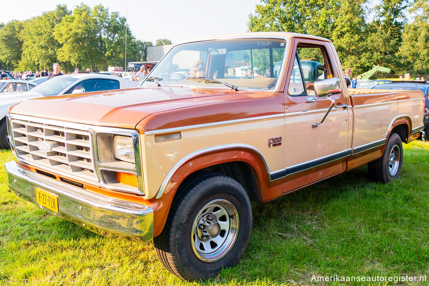 Ford F-Series uit 1982