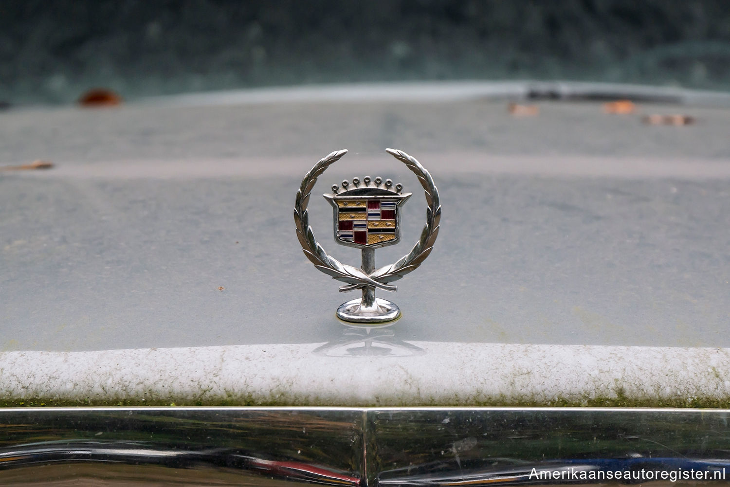 Cadillac Fleetwood uit 1993