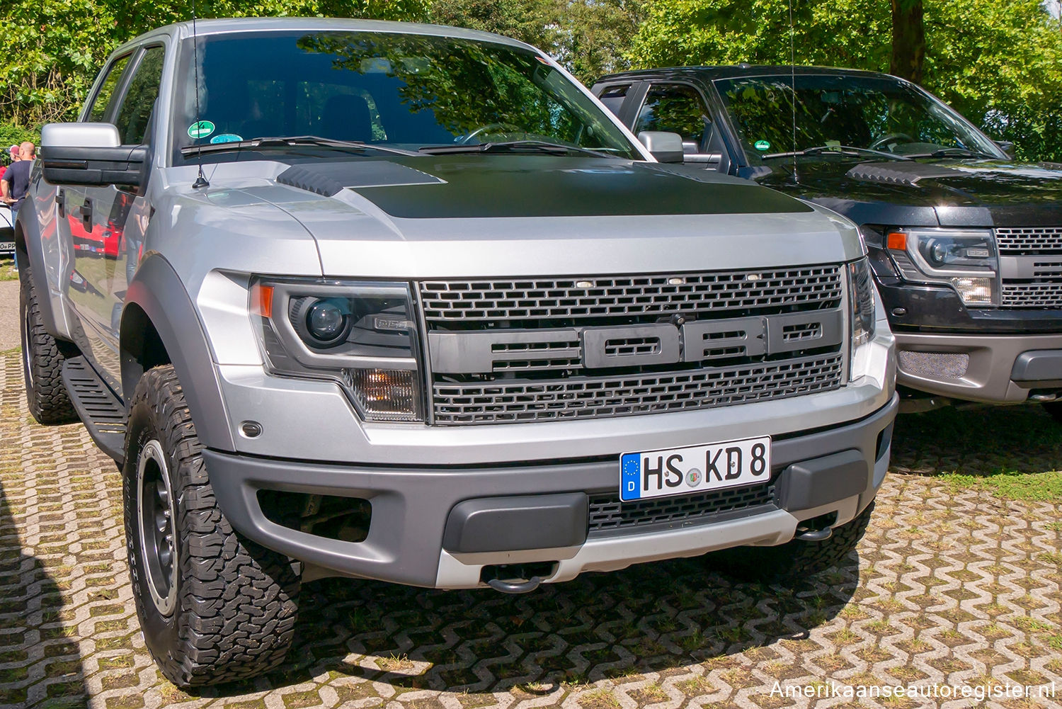 Ford F-Series uit 2013