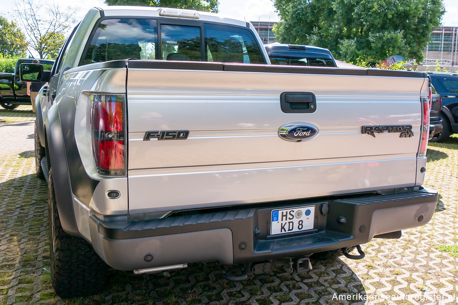 Ford F-Series uit 2013