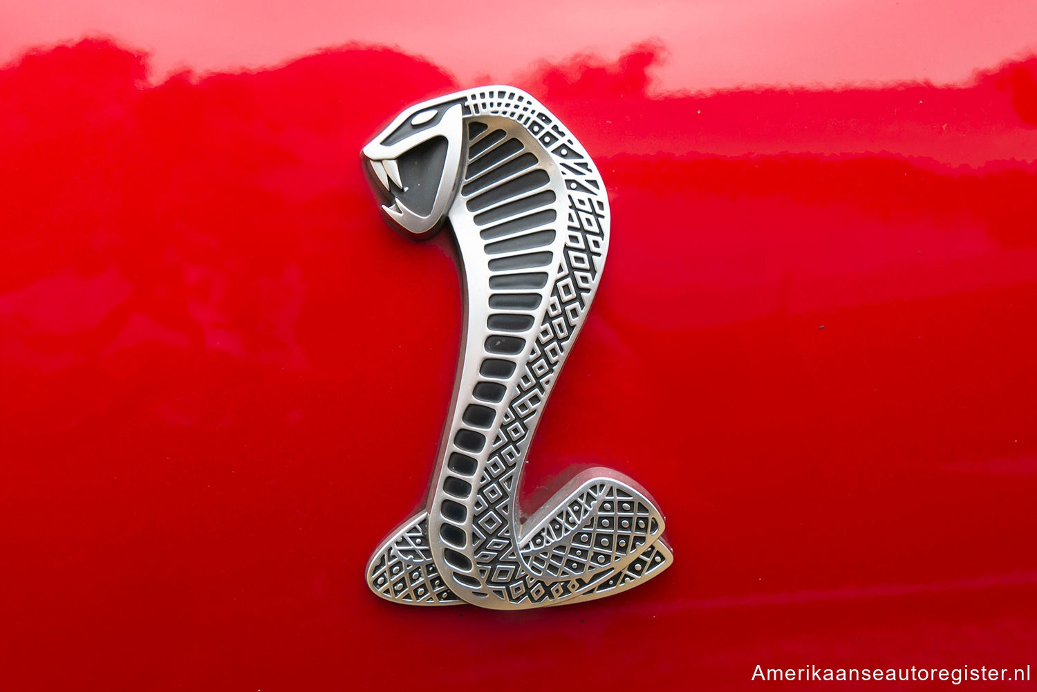 Ford Mustang uit 2013